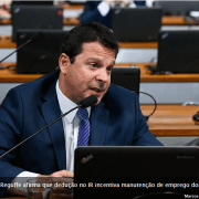 deducao da contribuicao do empregador domestico e pauta da CAE